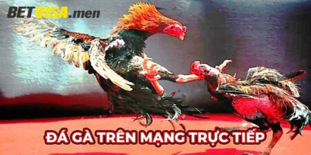 đá gà trên mạng trực tiếp