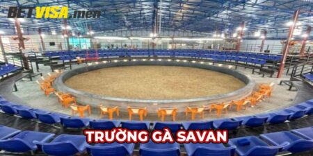 Trường gà Savan