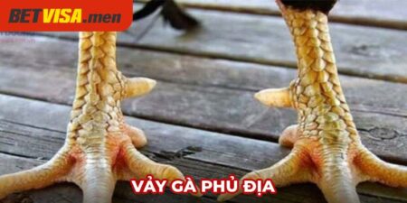 vảy gà phủ địa